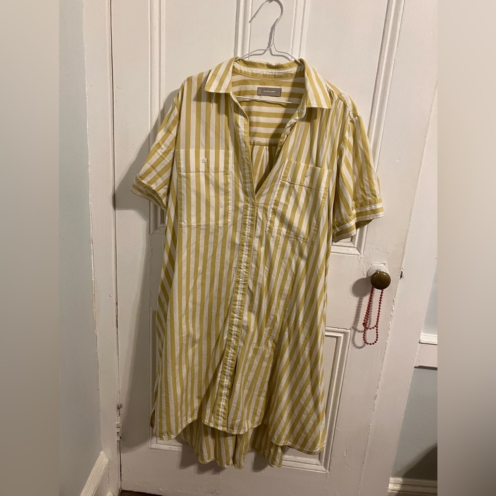 Everlane hi-low collared shirtdress with pockets